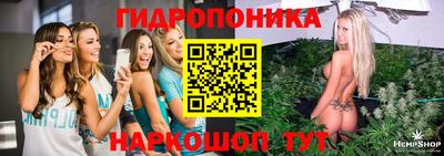 MDMA Новозыбков