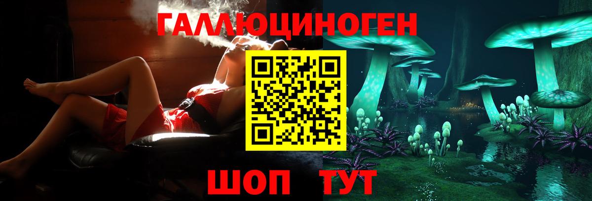 Артём  Галлюциногенные грибы Magic Shrooms  Псилоцибиновые грибы прущие грибы  Вход с VPN 